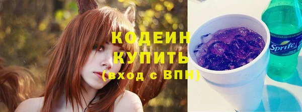 стаф Осинники