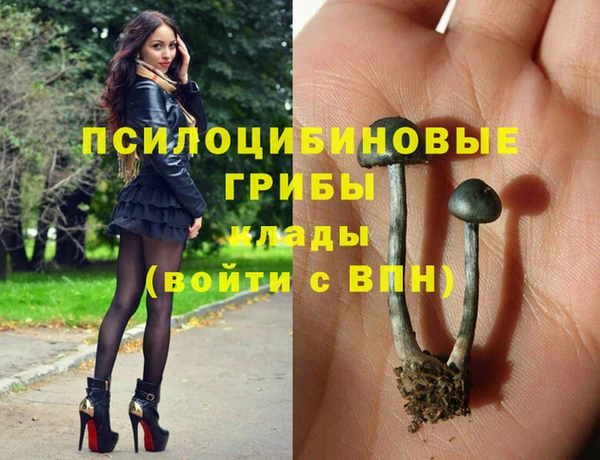 герыч Арсеньев