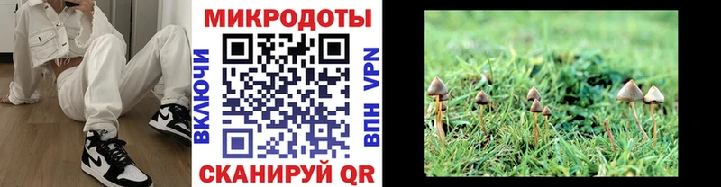 цены   Цивильск  Галлюциногенные грибы GOLDEN TEACHER 